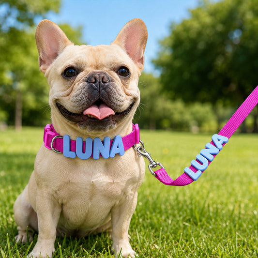 Personalized Letter Pet Leash and Collar Set