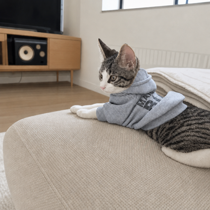 Puptailor MAMA'S BOY Pet Hoodie