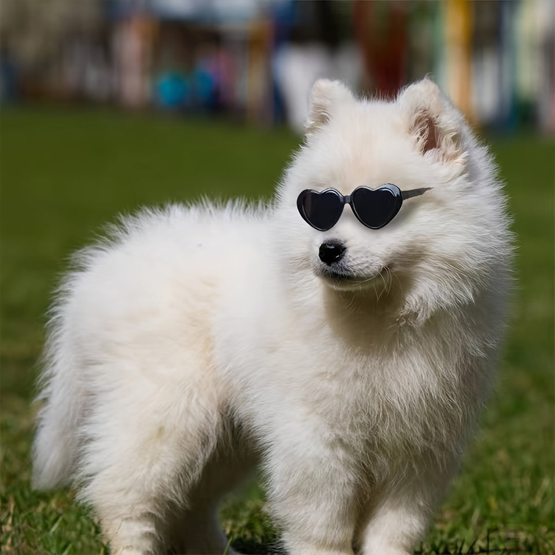 Stylish Heart-Shaped Pet Glasses