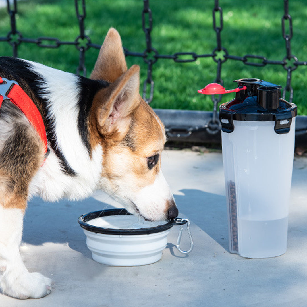 Portable 2-in-1 Pet Water & Food Cup for Outdoor