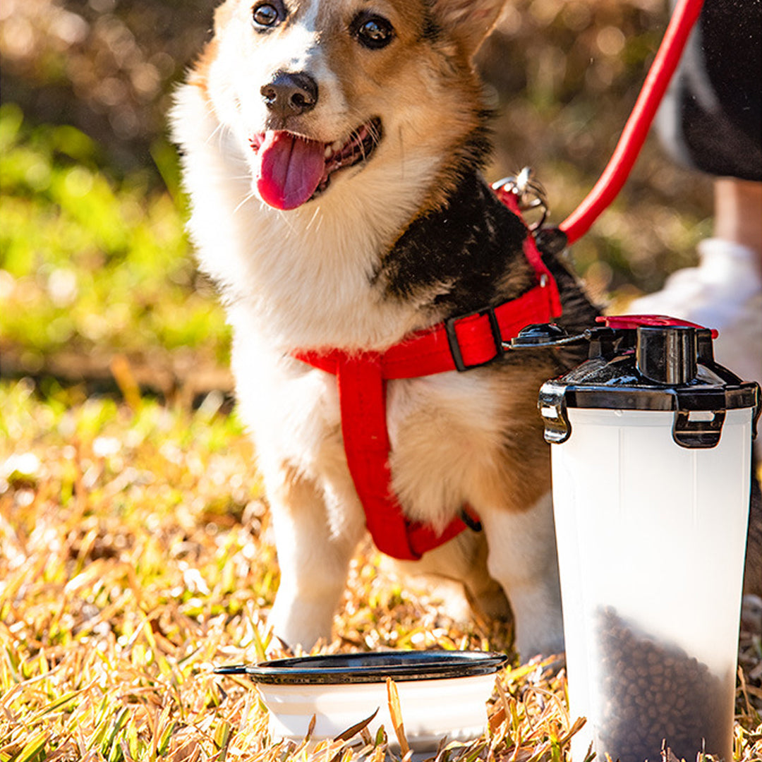 Portable 2-in-1 Pet Water & Food Cup for Outdoor