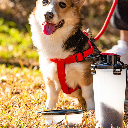 Portable 2-in-1 Pet Water & Food Cup for Outdoor