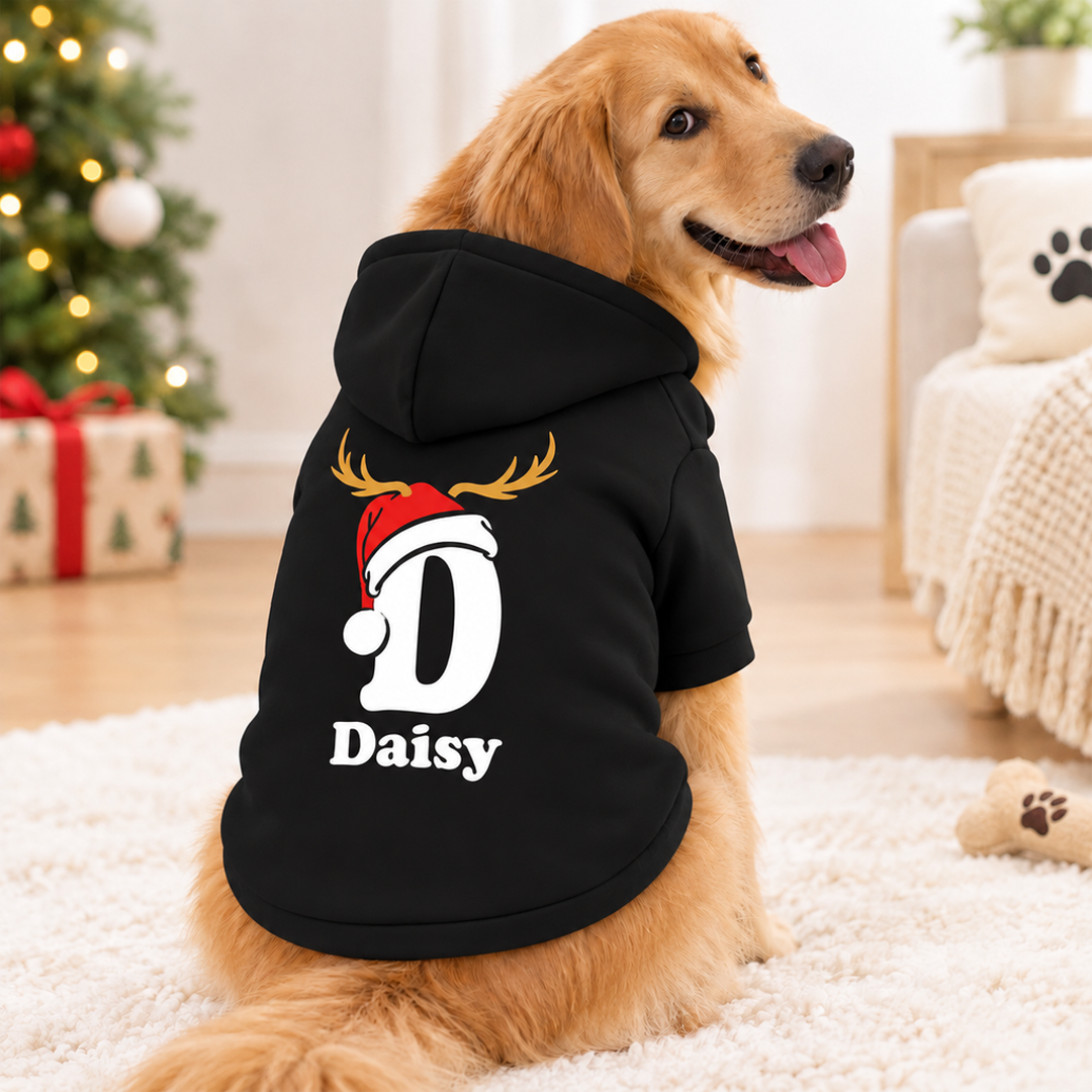 Personalized Matching Name Dog Hoodie