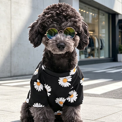 Creative and Trendy Pet Glasses