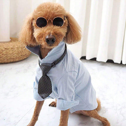 Creative and Trendy Pet Glasses