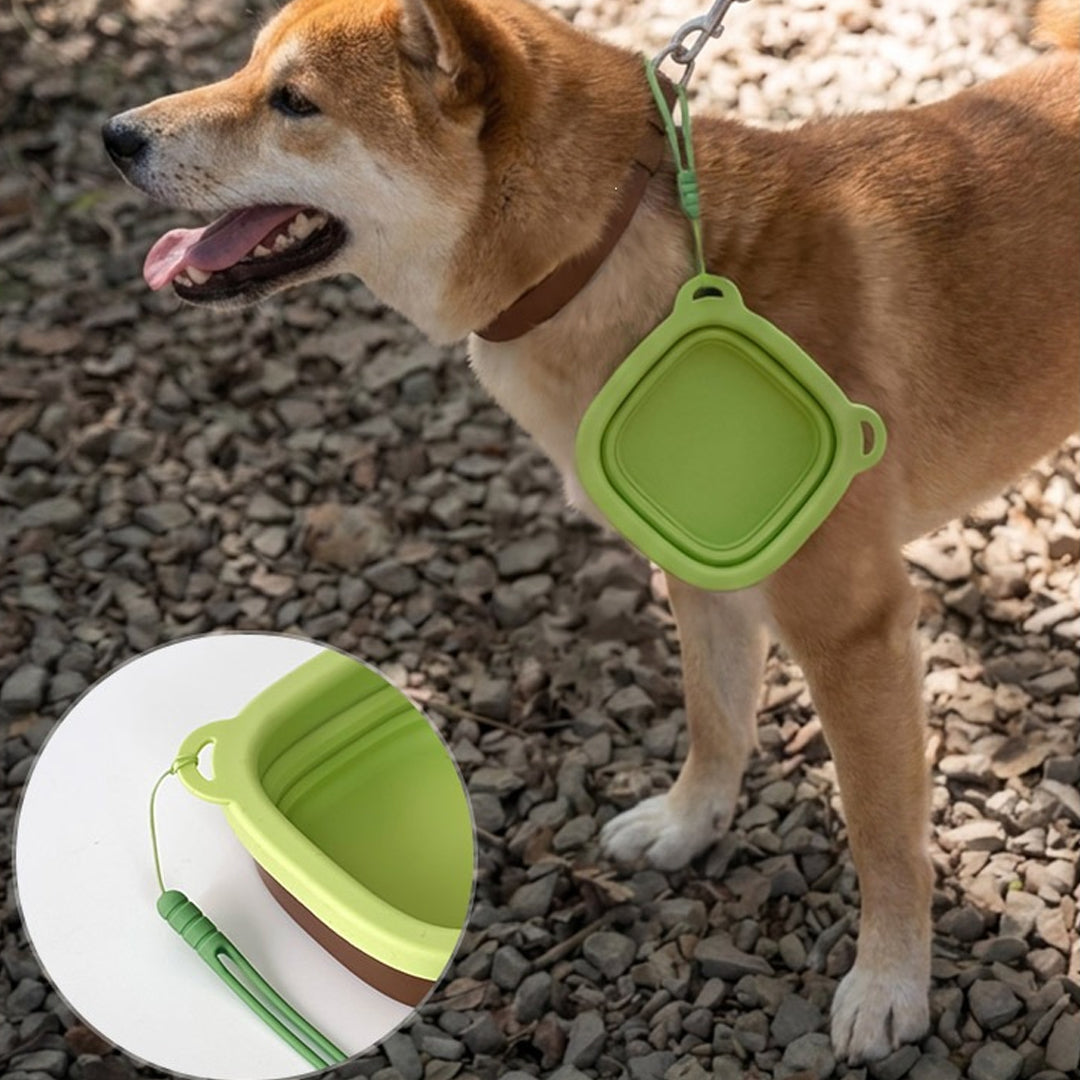Portable Pet Feeding Water Bowl