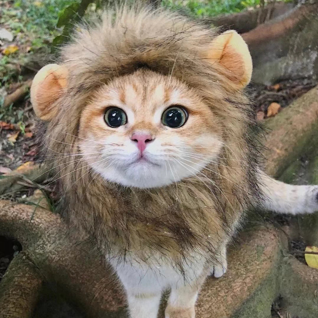 Lion Headgear for Cat, Cute Pet Headband