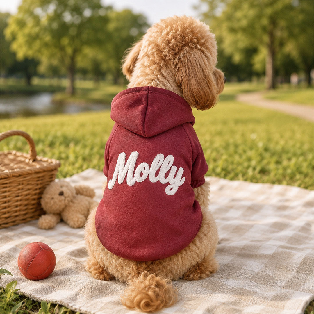 Personalized Solid-Color Warm Pet Hoodie