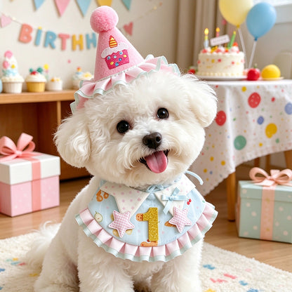 Birthday Party Hat & Number Bib Set for Pets