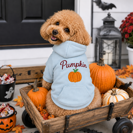 Puptailor Personalized Embroidered Halloween & Name Pet Hoodie