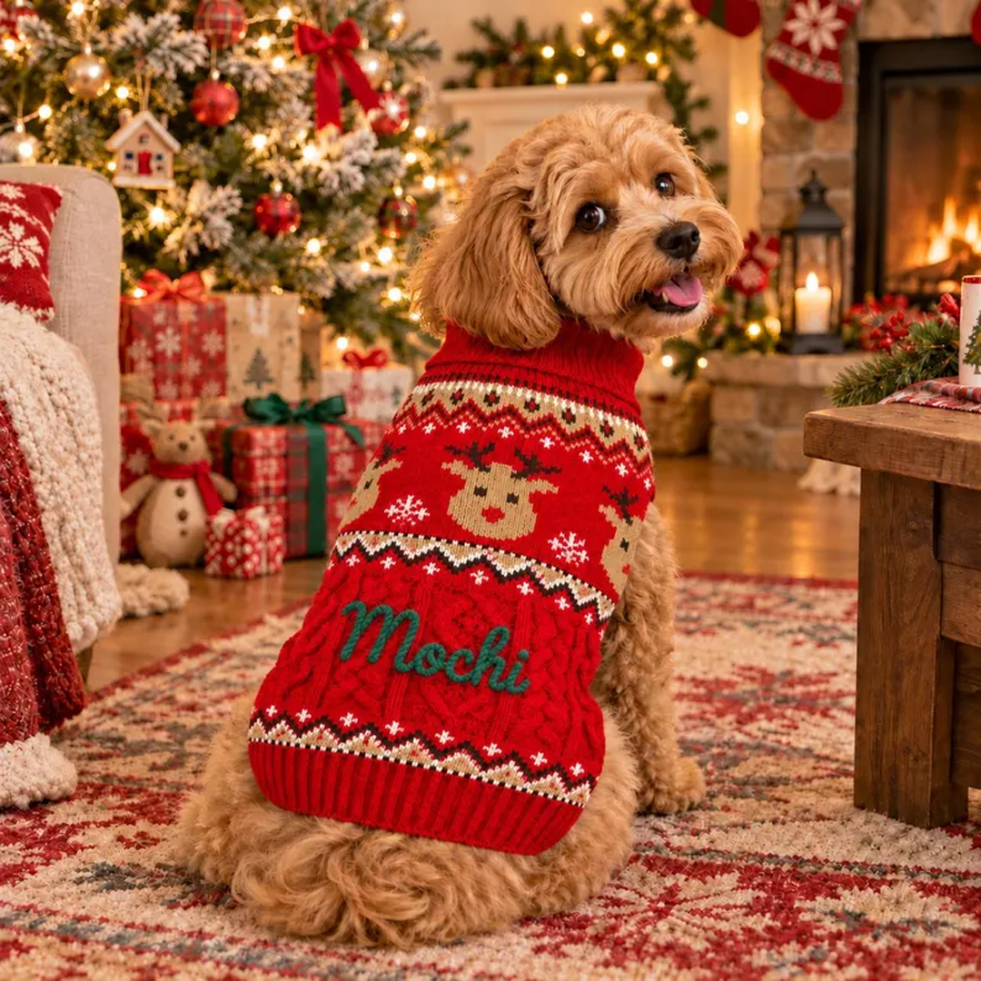 Personalized Fair Isle Christmas Pet Sweater