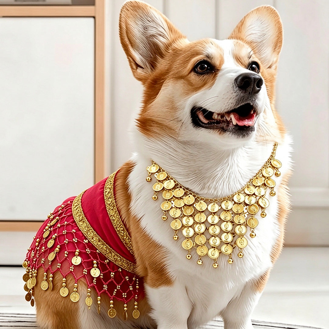 Funny Belly Dance Costume for Pet