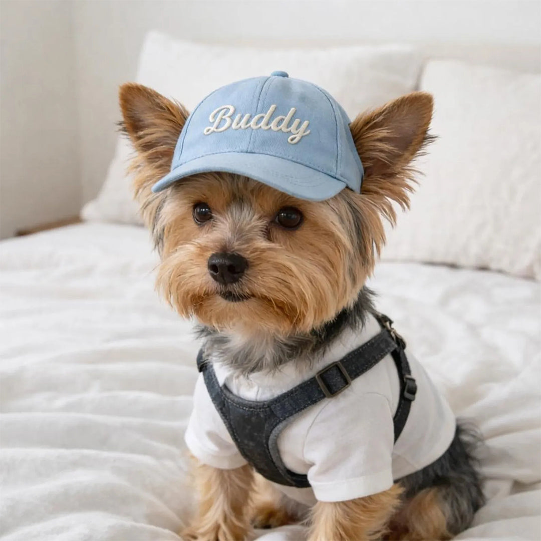 Personalized Custom Name Embroidered Outdoor Baseball Cap For Pet