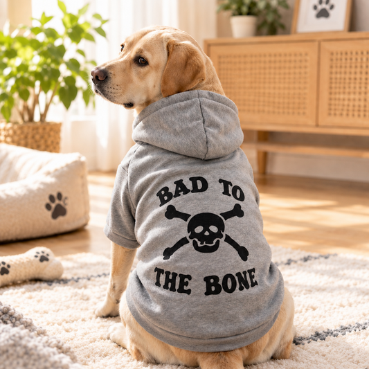Born to Be Wild Dog Hoodie