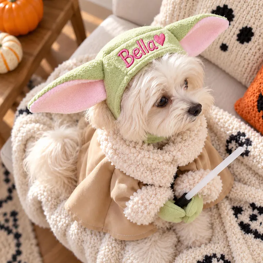Personalized Alien Pet Costume
