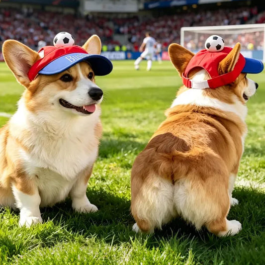 Personalized Custom Pet Hat With Football
