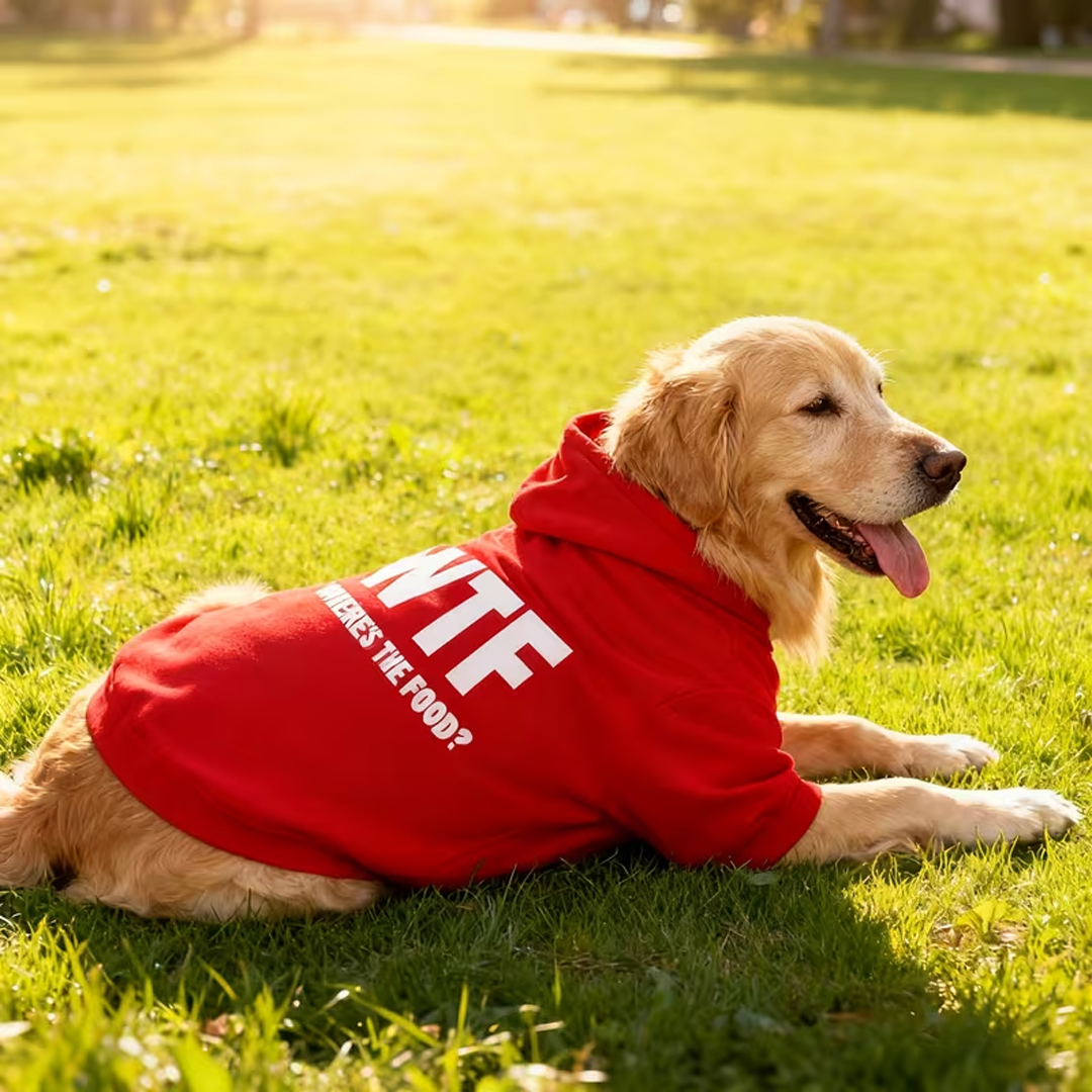 Puptailor “WTF” Pet Hoodie