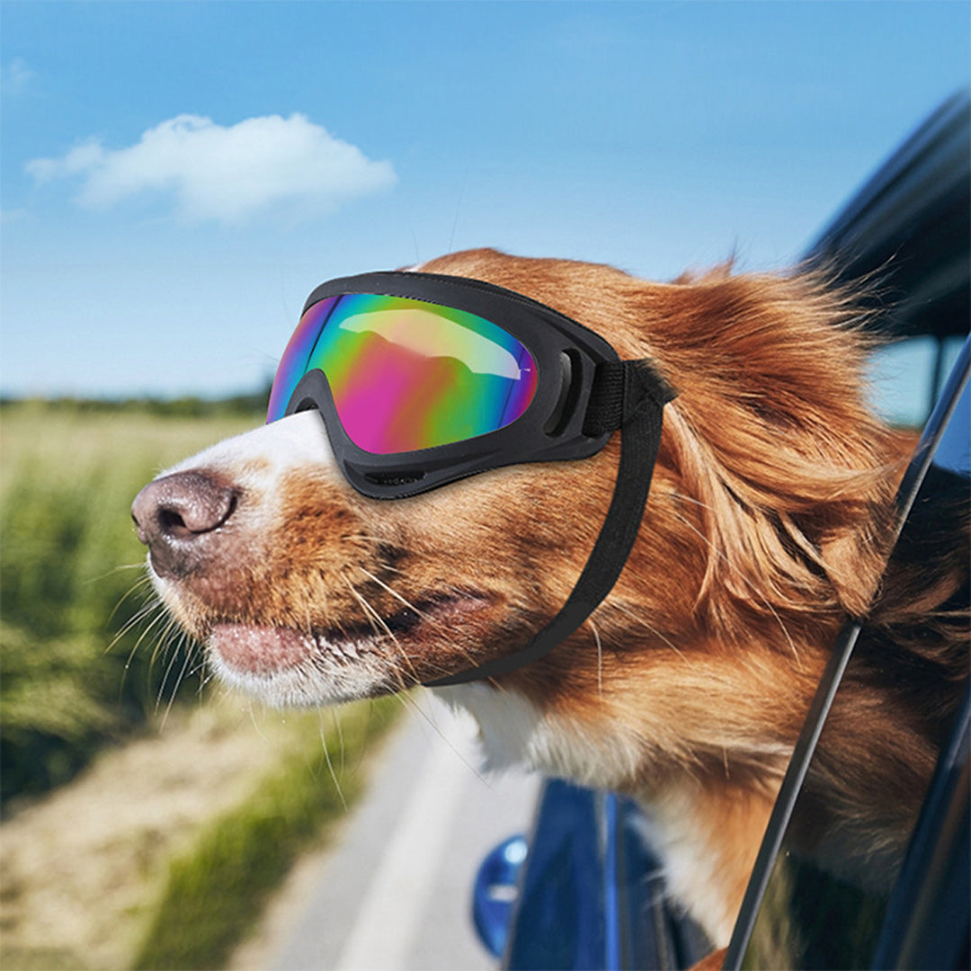 Cool and Windproof Sunglasses for Pets