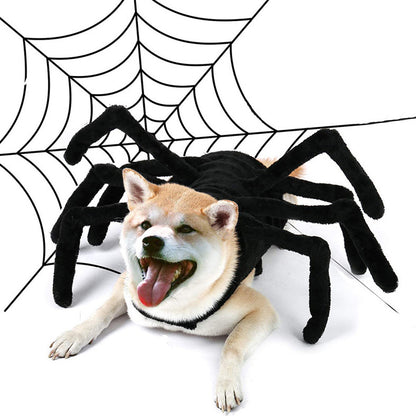 Puptailor Pet Spider Halloween Costume for Cats & Small Dogs