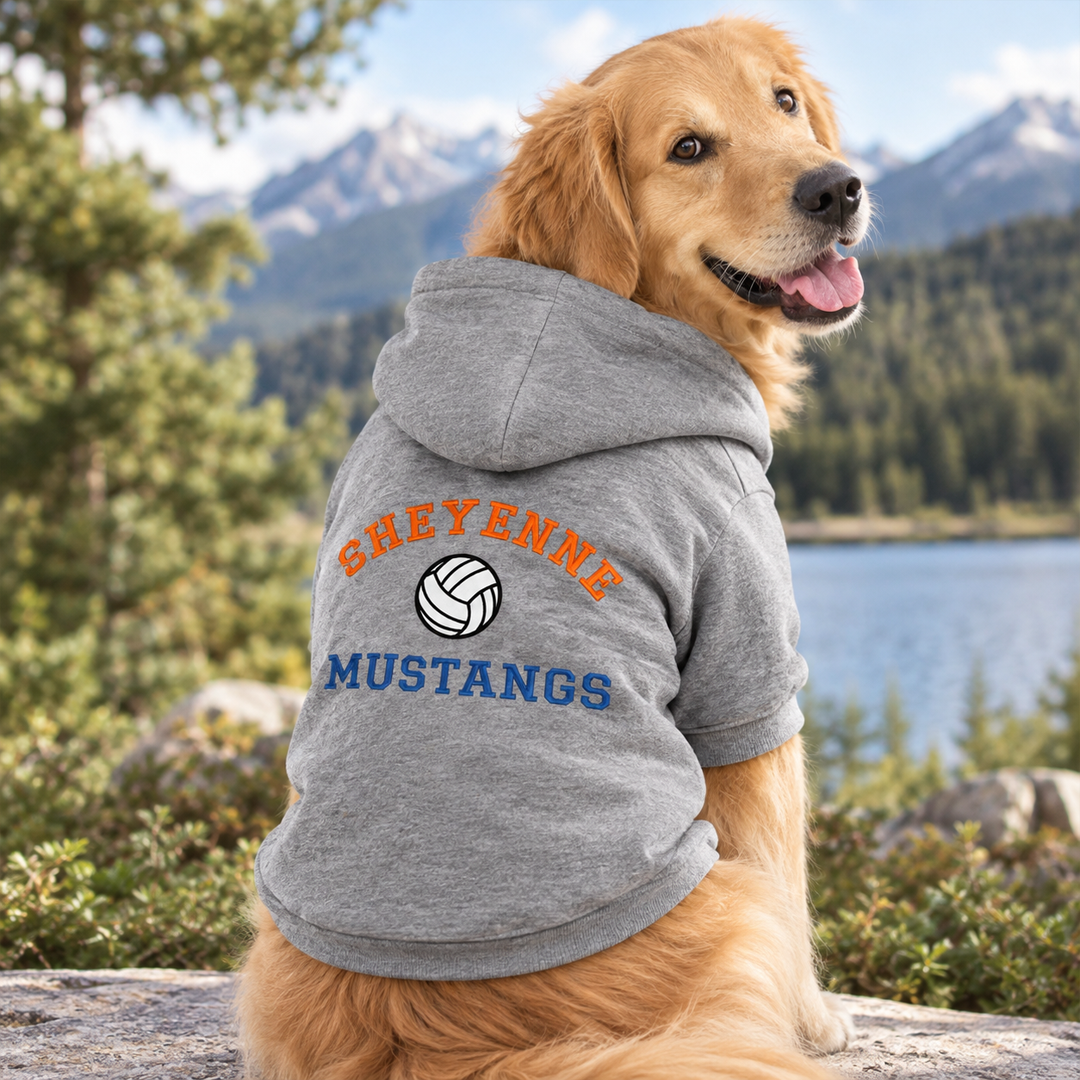 Personalized Sports Team Dog Hoodie
