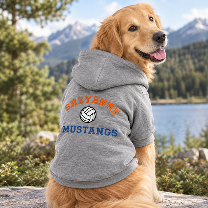 Personalized Sports Team Dog Hoodie