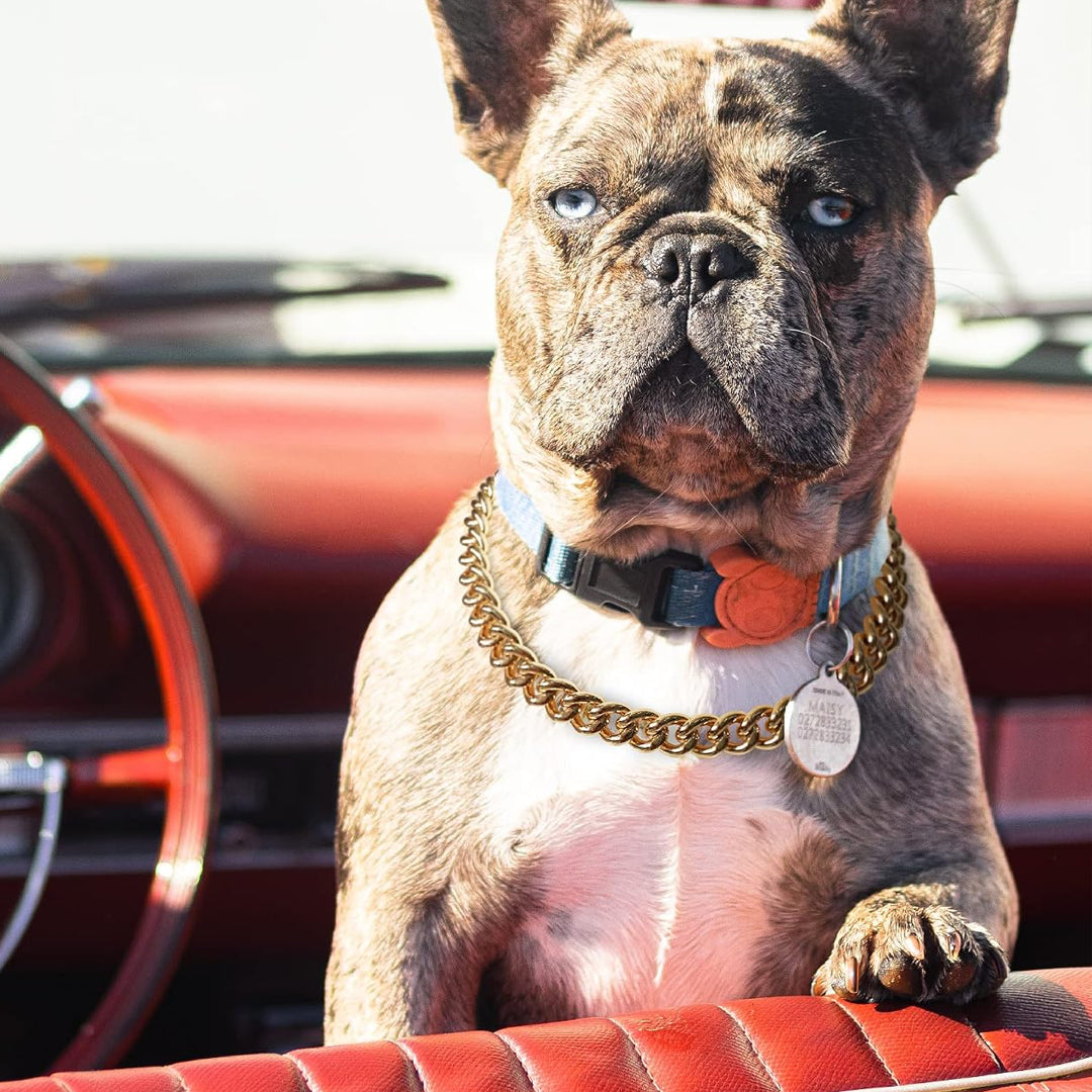 Pet Necklace Accessories