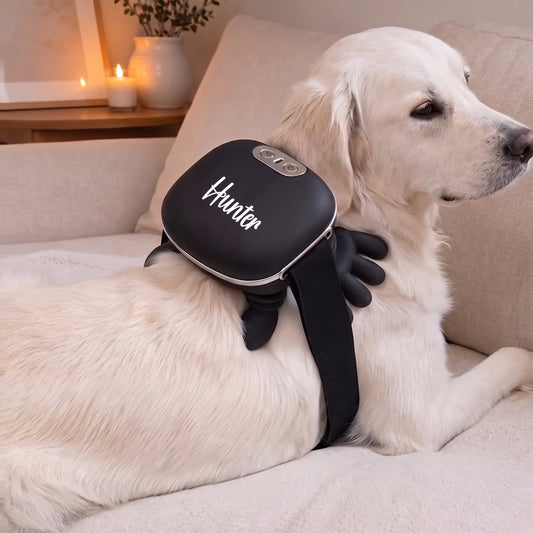 Personalized Soothing Dog Massager