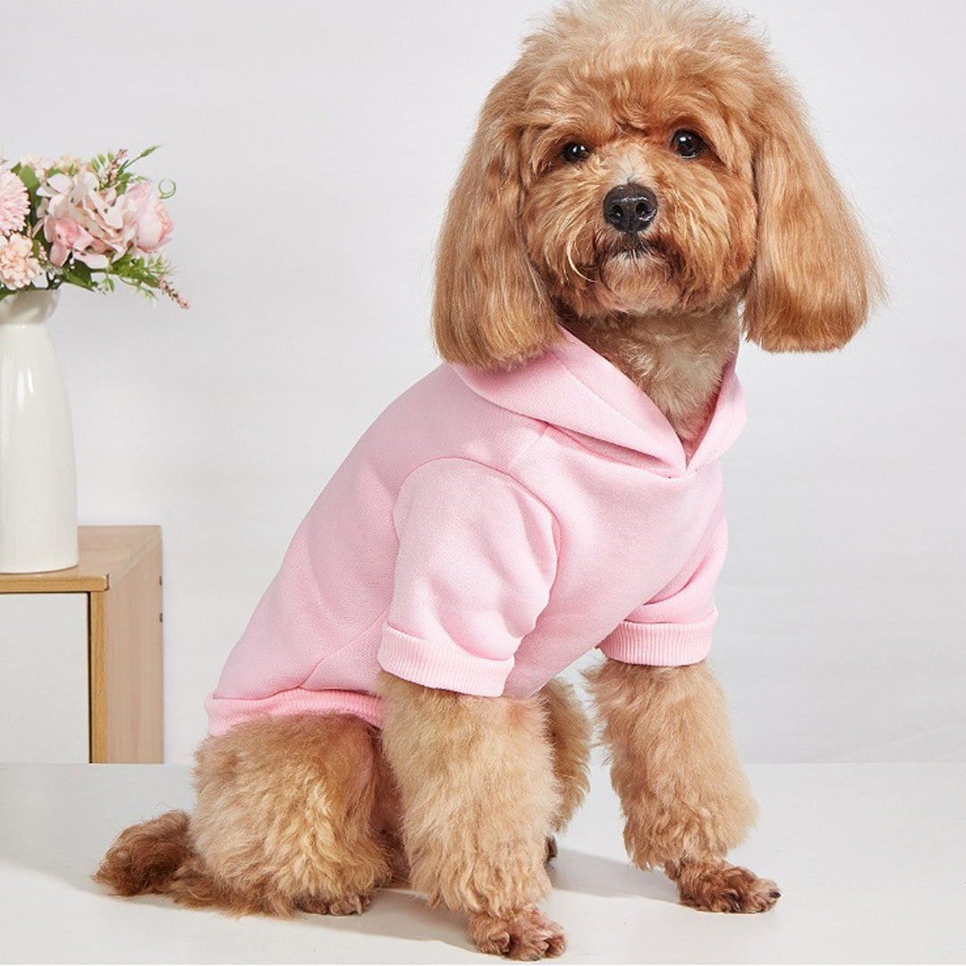 Personalized Solid-Color Warm Pet Hoodie