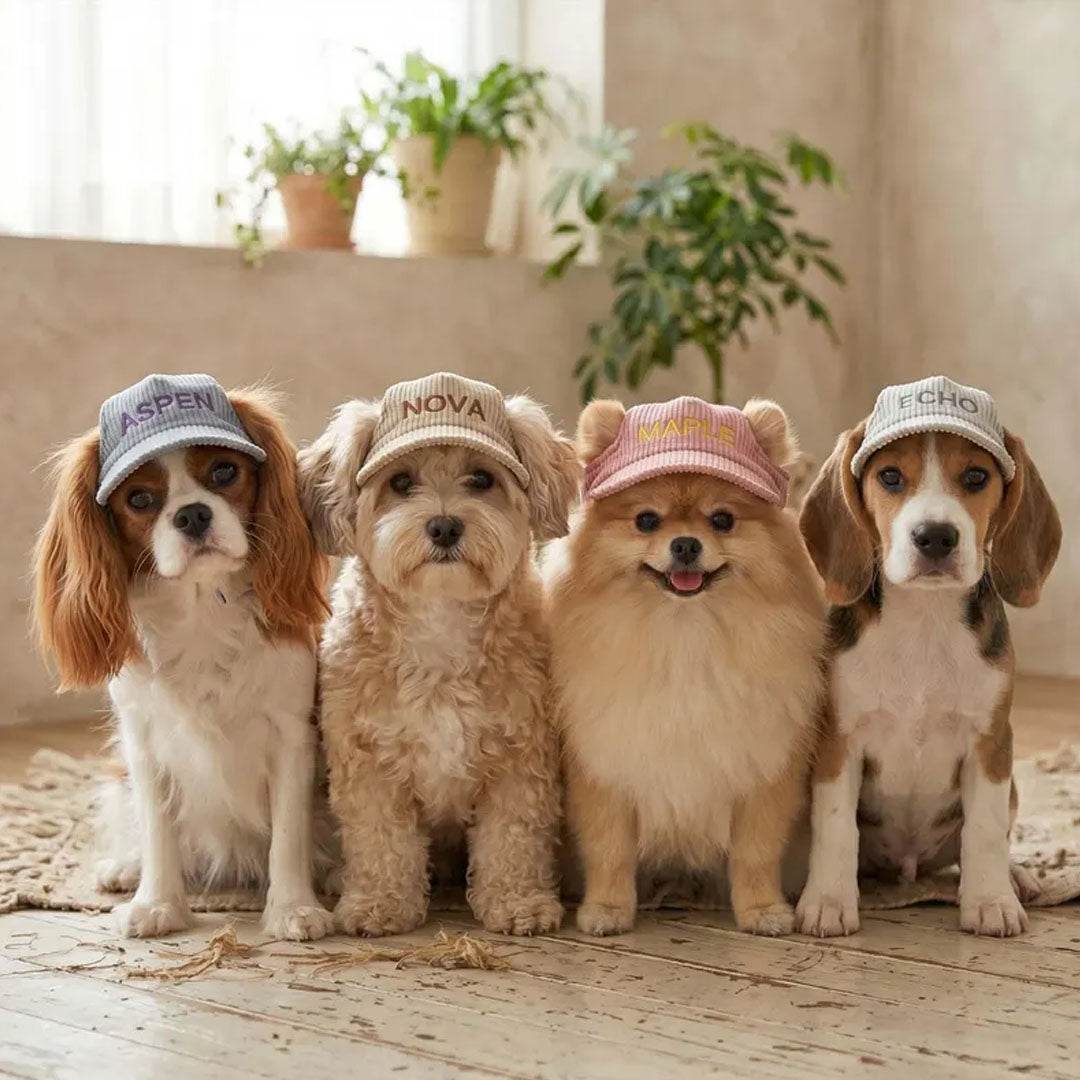 Personalized Corduroy Embroidered Pet Hat