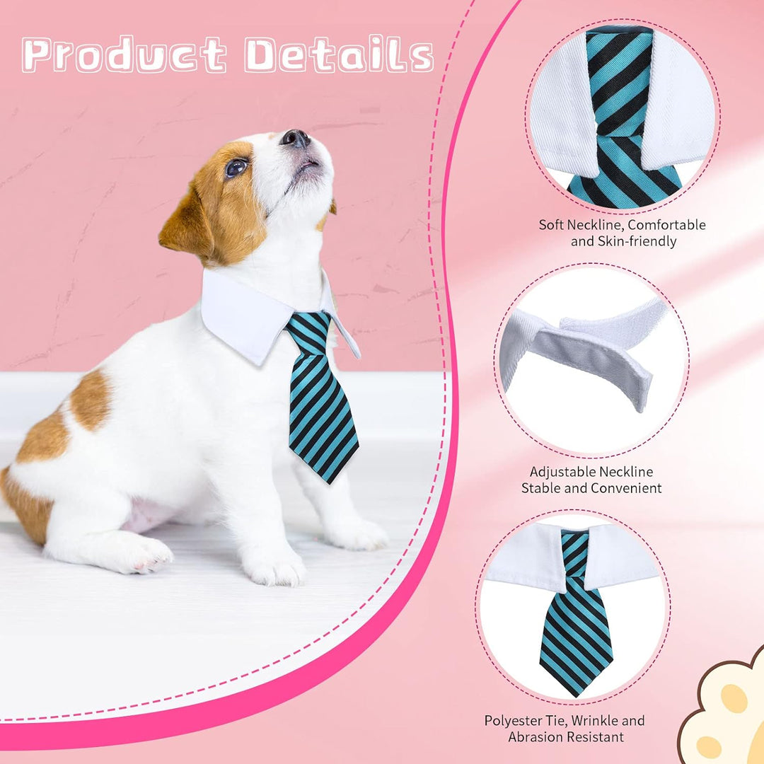 Neck Tie with White Collar for Pet