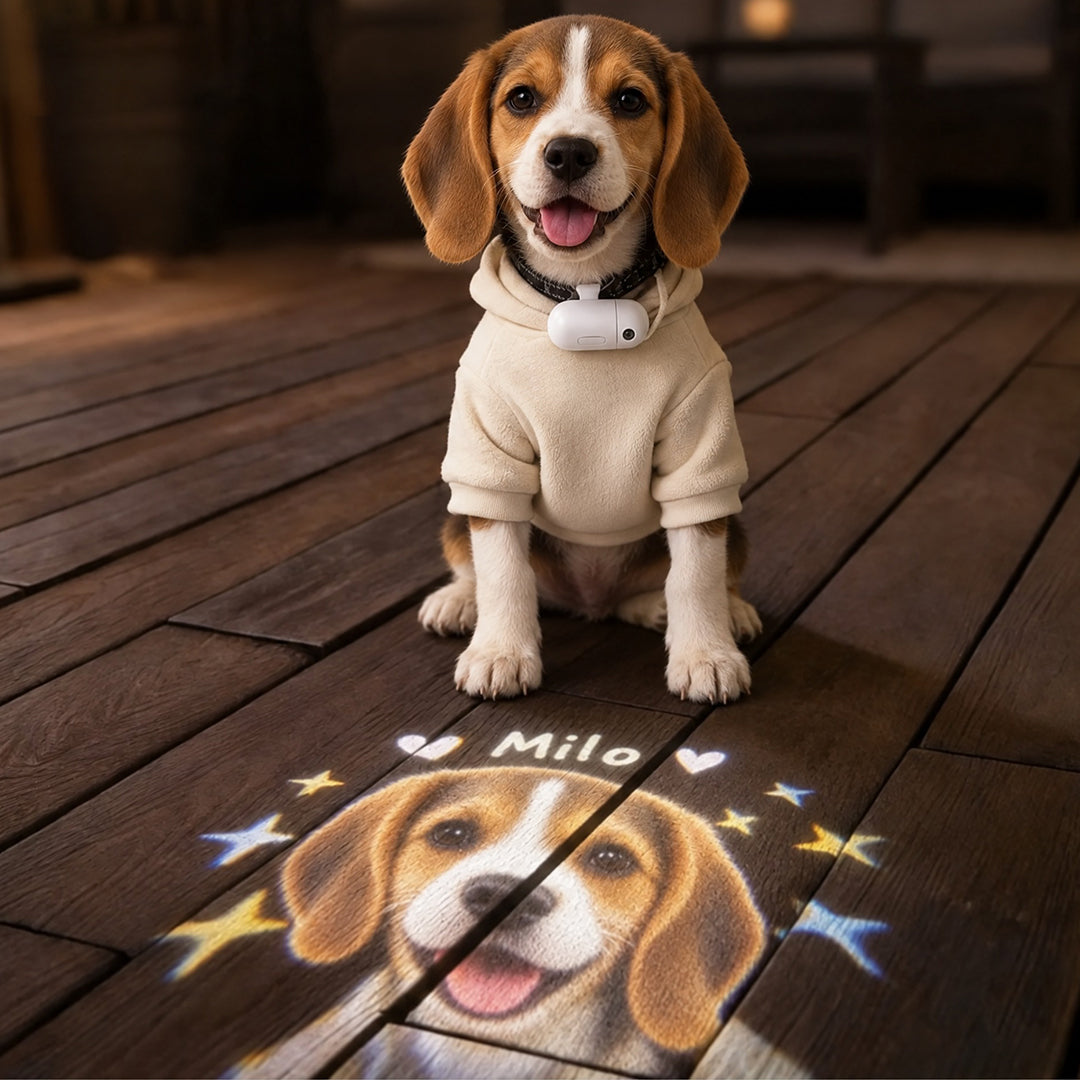 Custom Pet Projection Light for Night Walks