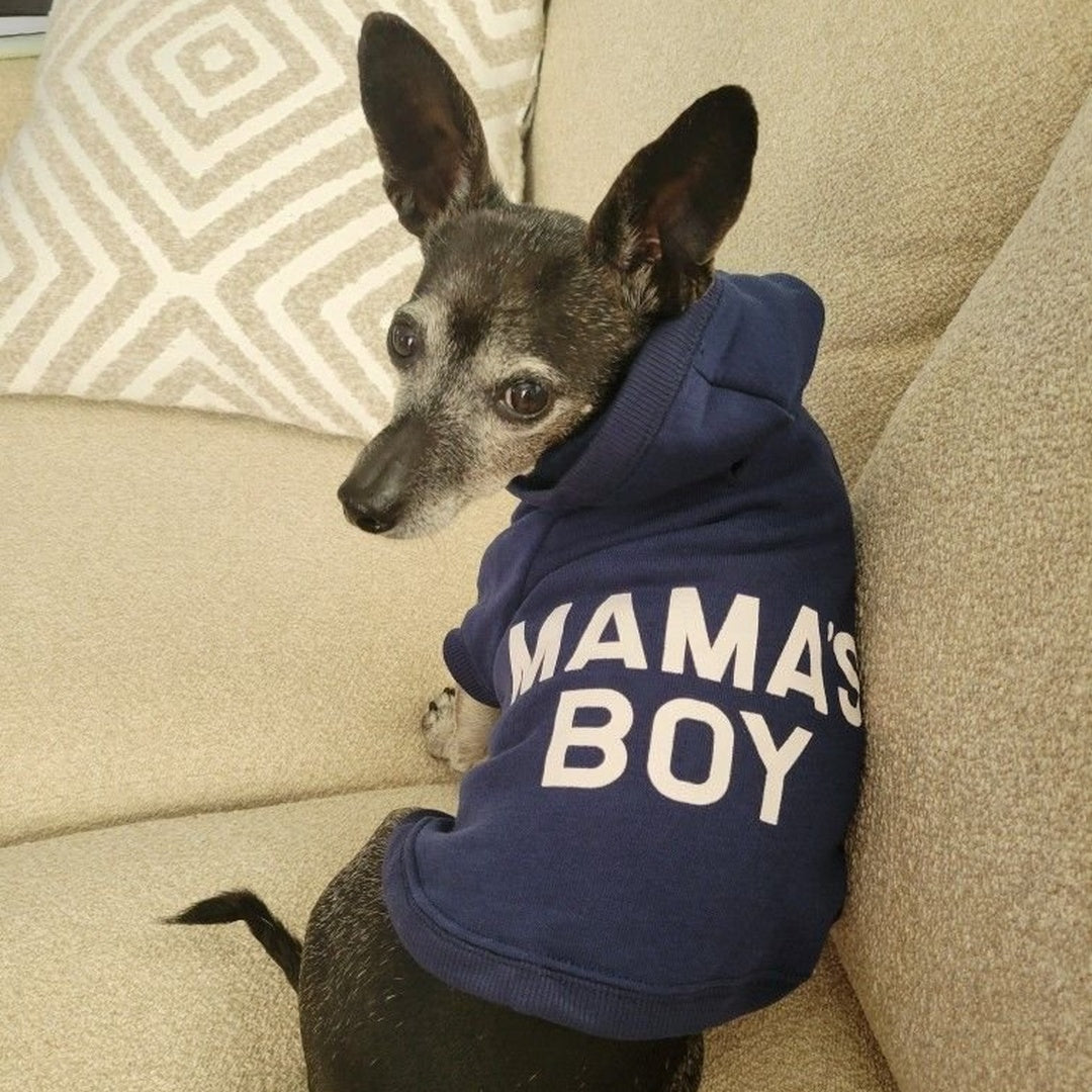 Puptailor MAMA'S BOY Pet Hoodie