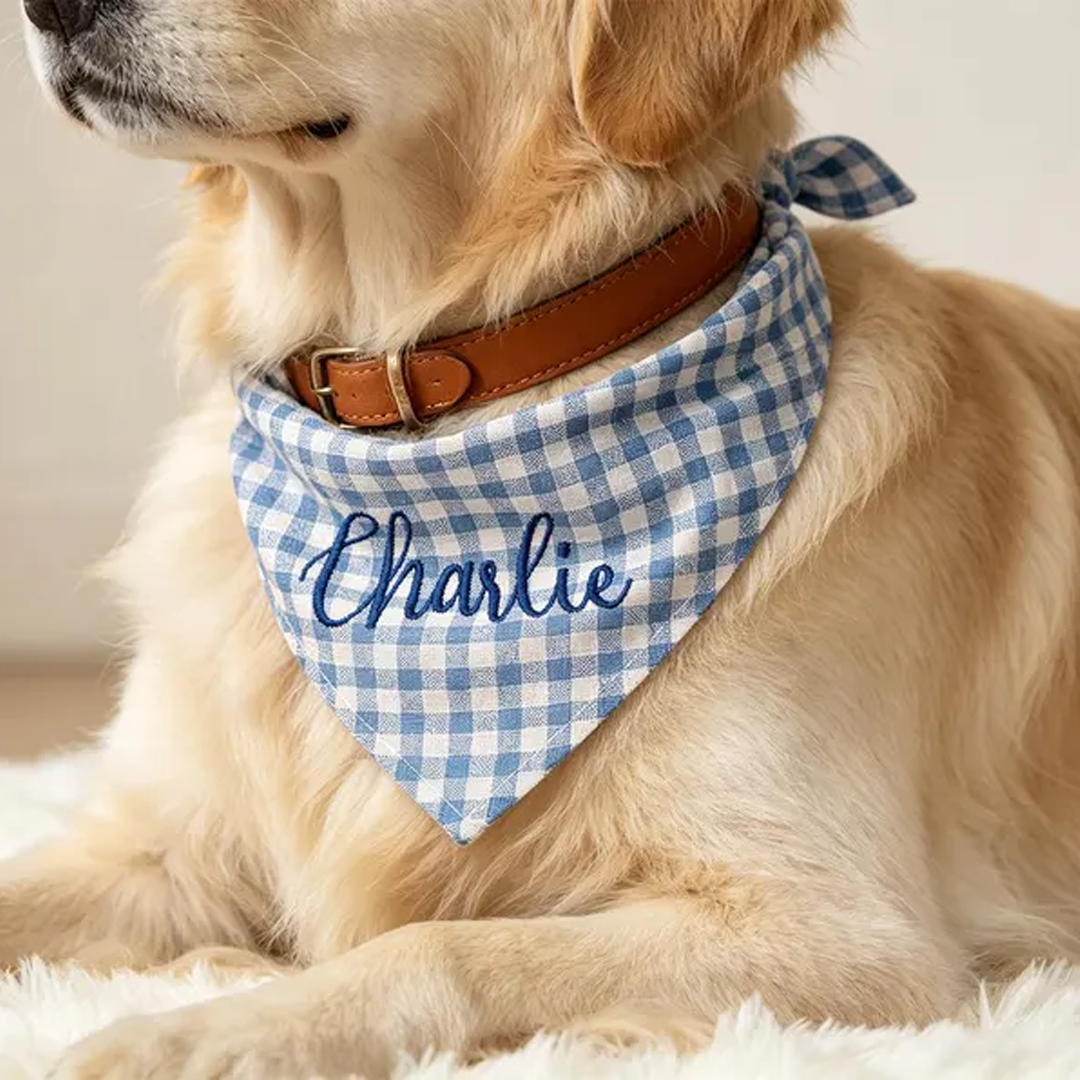 Personalized Embroidered Gingham Pet Bandana