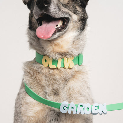 Personalized Waterproof Dog Collar with Charms