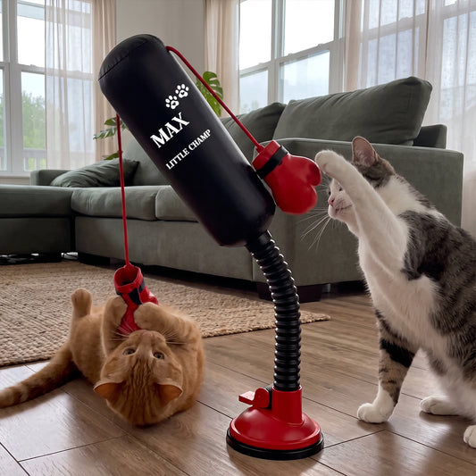 Personalized Mini Cat Boxing Toy