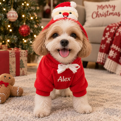 Personalized Embroidered Christmas Pet Hoodie
