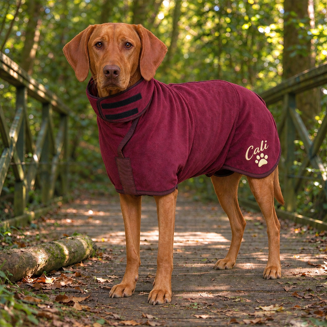 Personalized Hooded Microfiber Dog Bathrobe