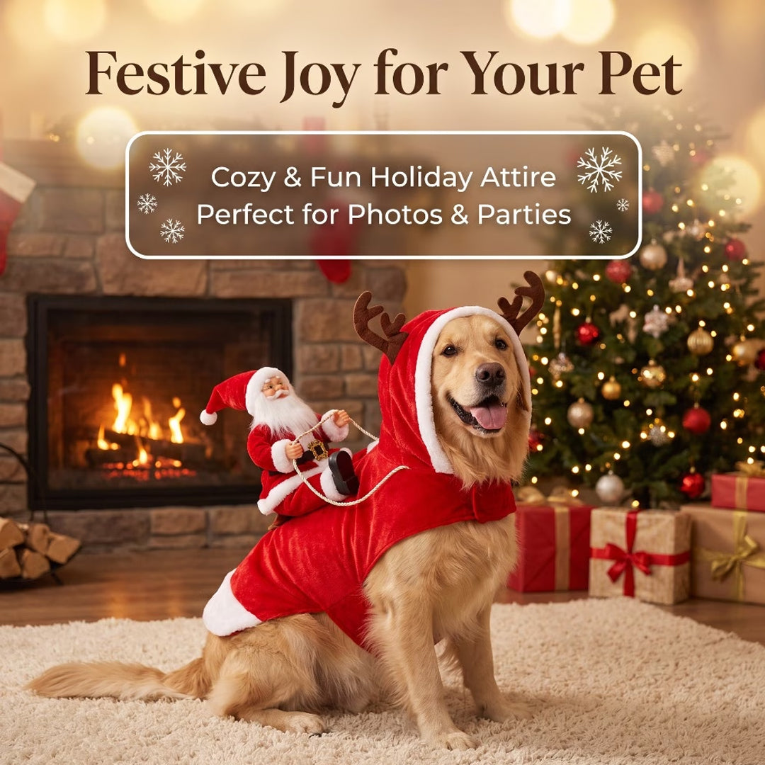 Santa's Sleigh Rider Dog Costume
