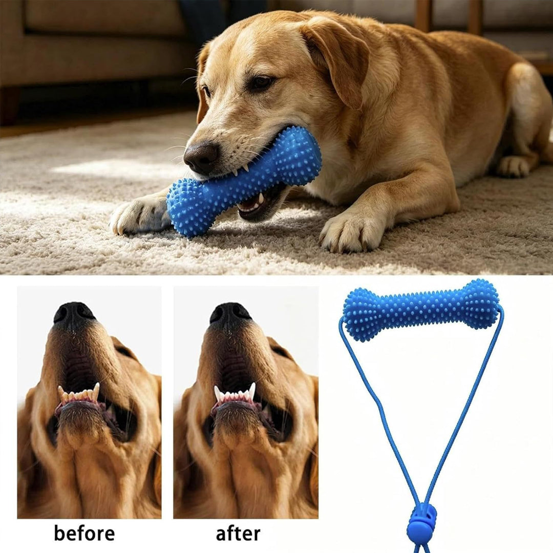 Dog Teething Toy