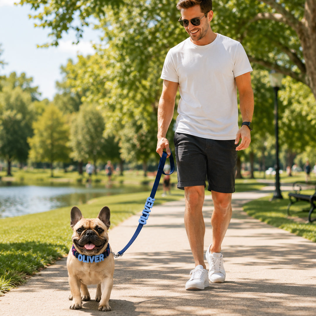 Personalized Letter Pet Leash and Collar Set