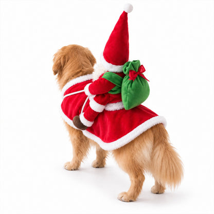 Santa Rider Dog Costume