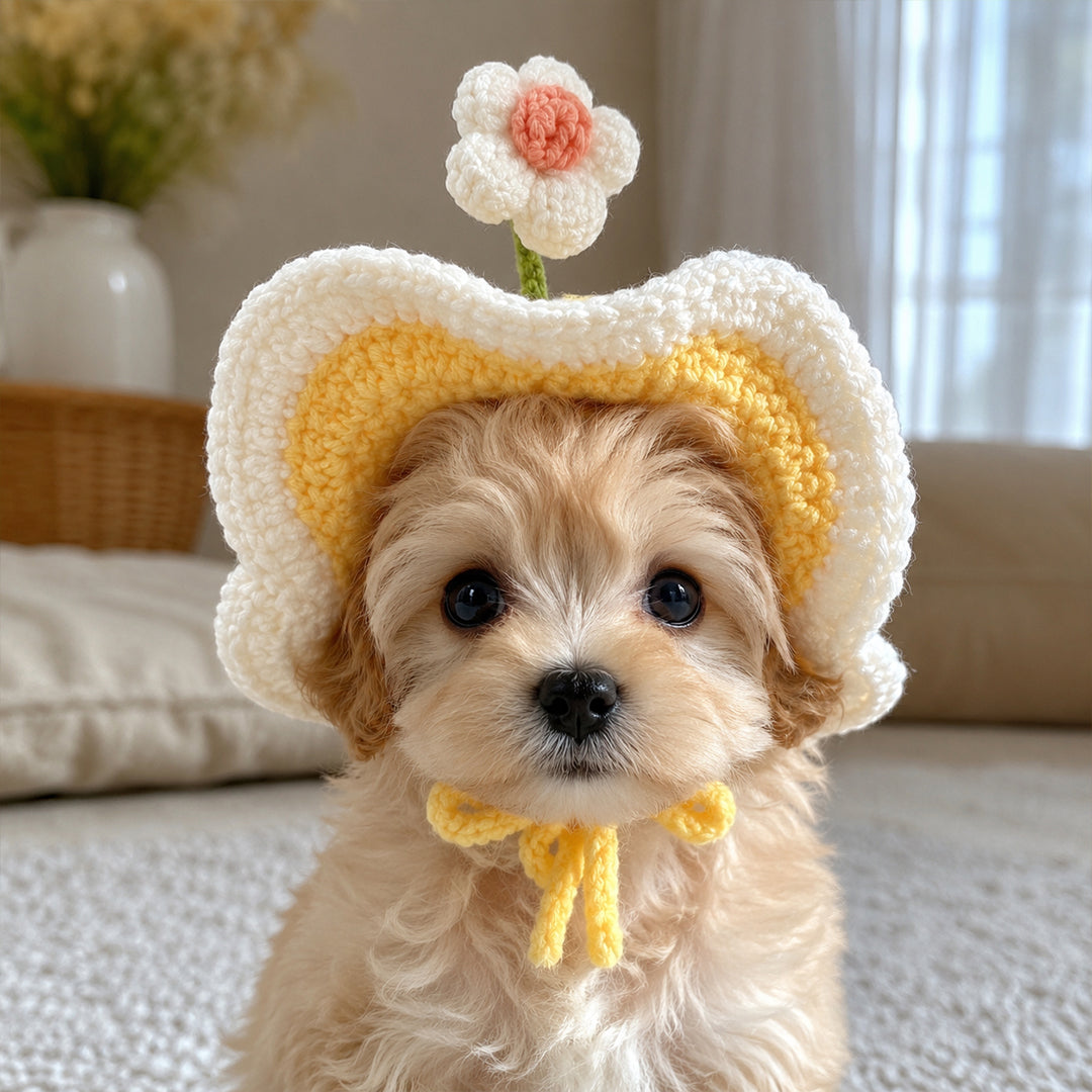 Personalized Initial Crochet Dog Hat