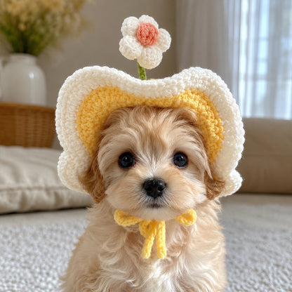 Personalized Initial Crochet Dog Hat