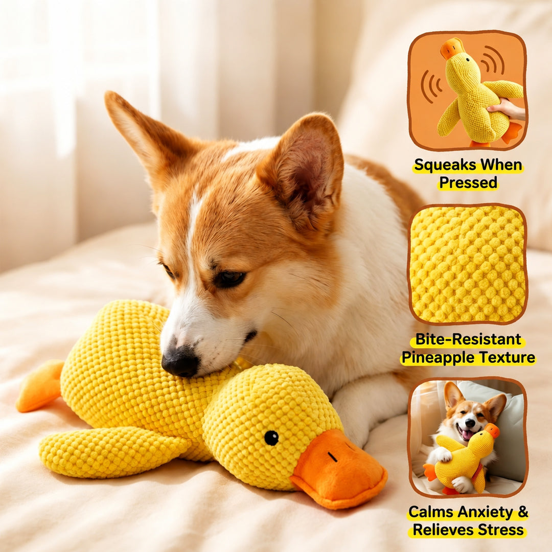 Durable, Squeaky Pet Toy for Teething and Boredom Relief
