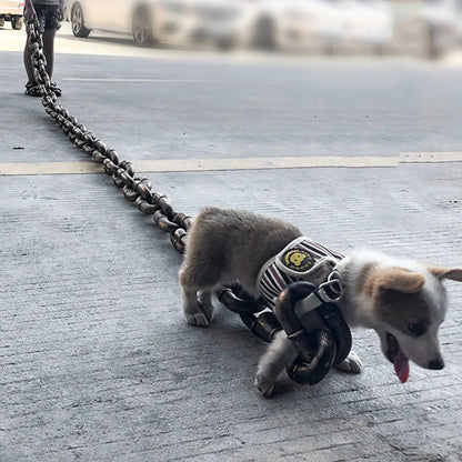 Thick Plastic Funny Dog Leash