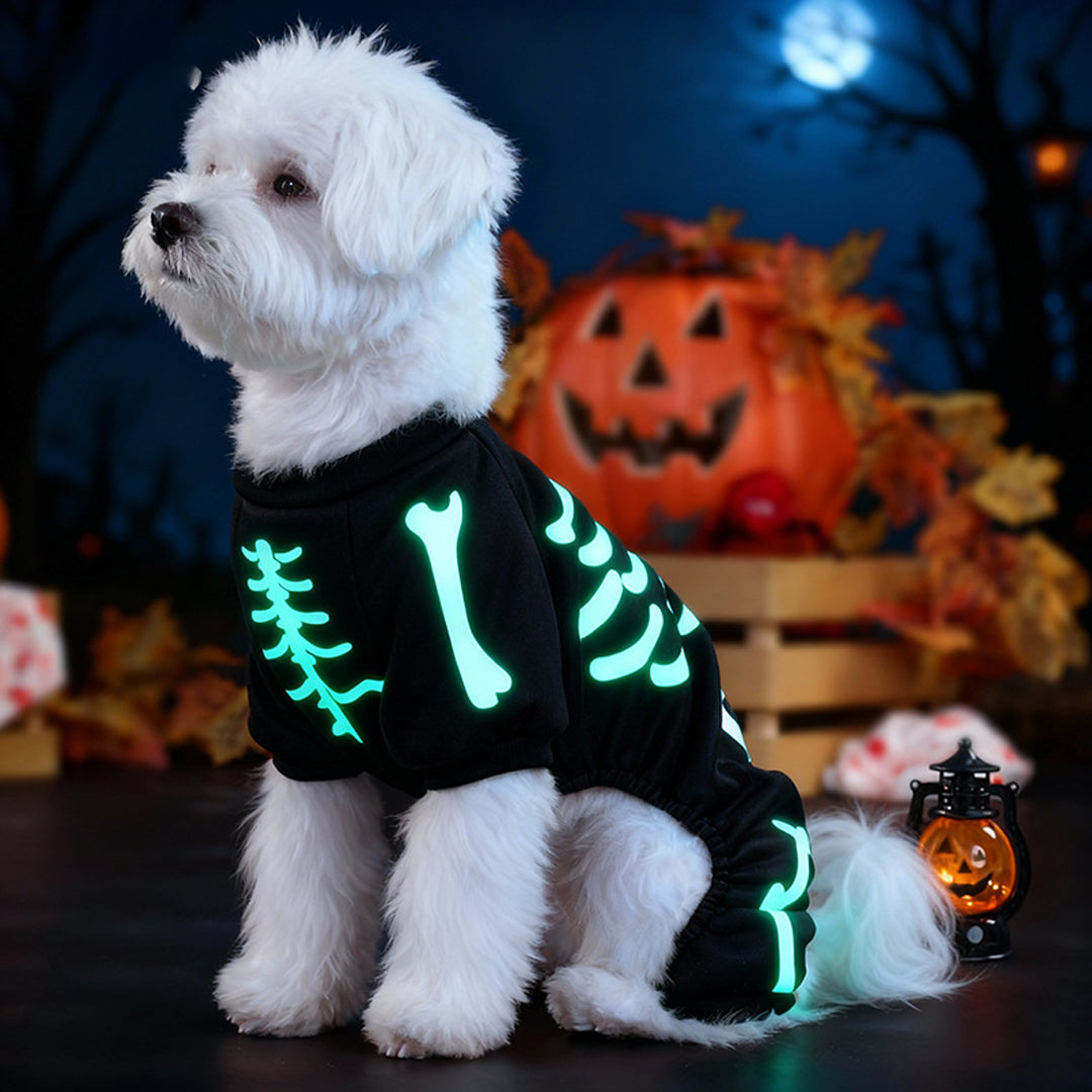 Puptailor Halloween Pet Costume with Glow-in-the-dark