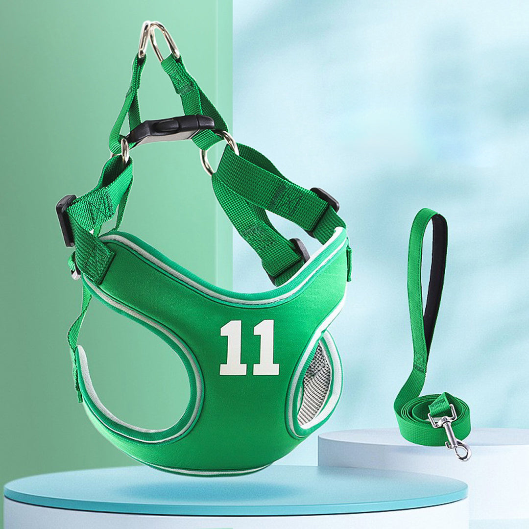 Dog Leash and Harness
