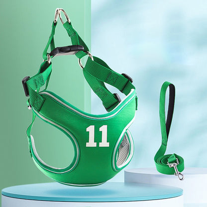 Dog Leash and Harness