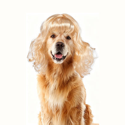 Puptailor Personalized Fun Pet Wigs for Halloween Cosplay