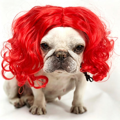 Puptailor Personalized Fun Pet Wigs for Halloween Cosplay